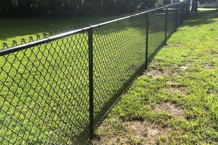 Black chain-link fence running along a grassy yard in sunlight