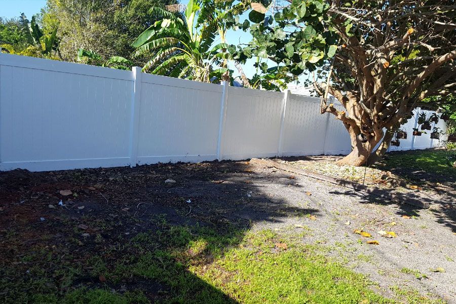 White vinyl fence along a sunny yard with a large tree and patchy grass and dirt ground