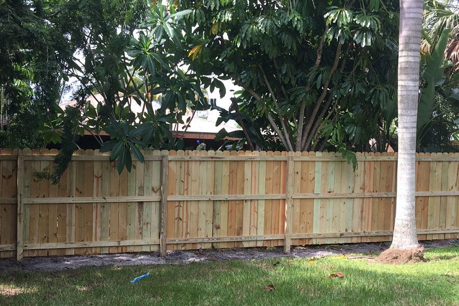 Wooden privacy fence with lush green trees and grass in a backyard