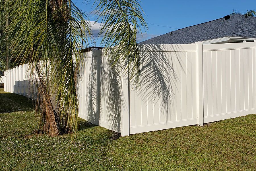 White vinyl fence beside a palm tree in a sunny suburban yard