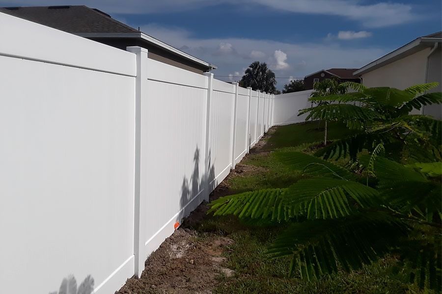 Long white fence beside a grassy yard with a palm tree under a blue sky