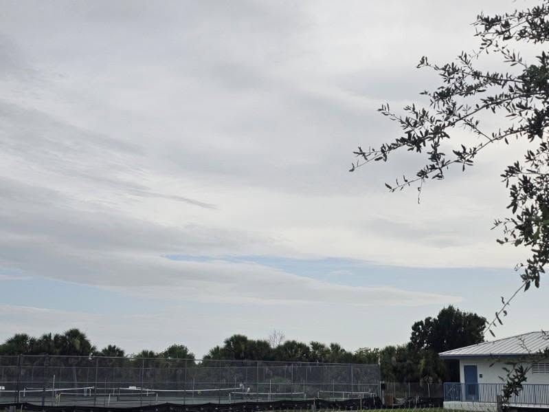 Overcast sky above a fence and trees, with a white building at the right edge.