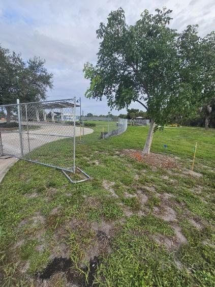 Grassy yard with a tree, chain-link fence, and cloudy sky beside a paved path