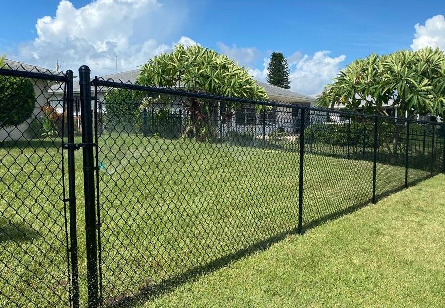 Black chain-link fence along a grassy yard under a blue sky with trees in the background