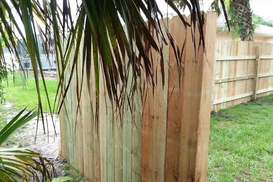Wooden fence panels along a grassy yard, partly obscured by palm fronds near a sidewalk.