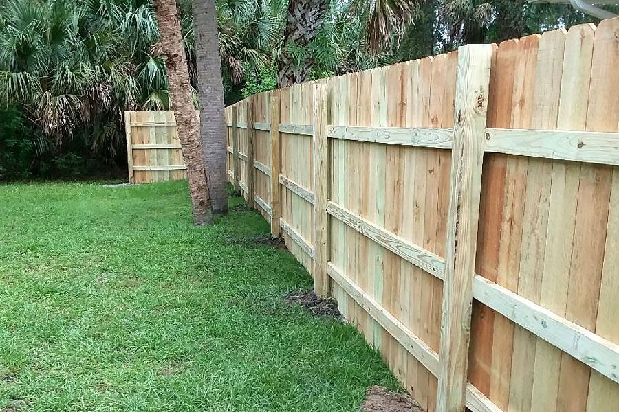 Wooden fence along a green grassy yard with a palm tree and tall trees in the background