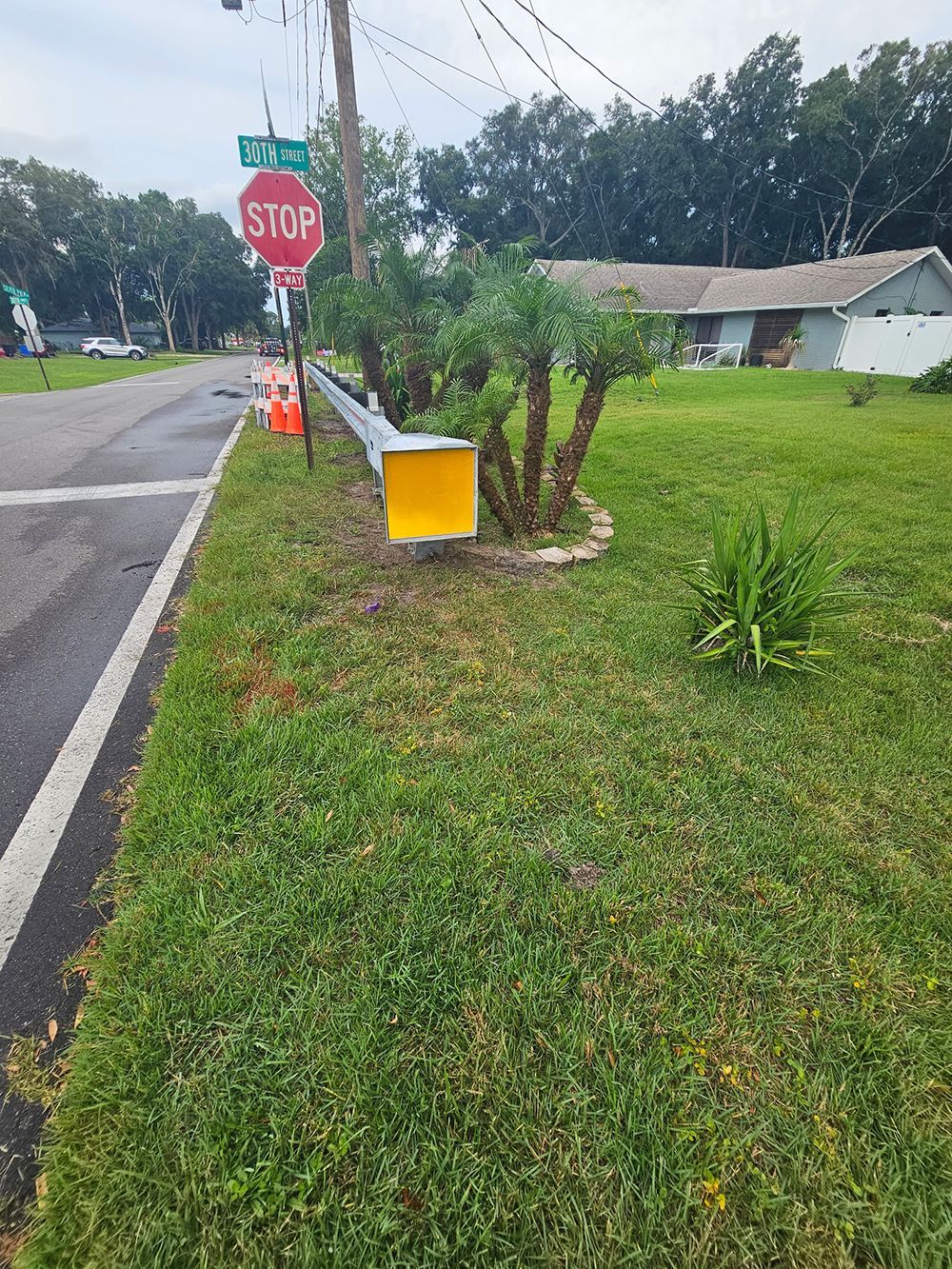 Rural roadside stop sign beside a grassy yard, utility pole, and yellow mailbox.