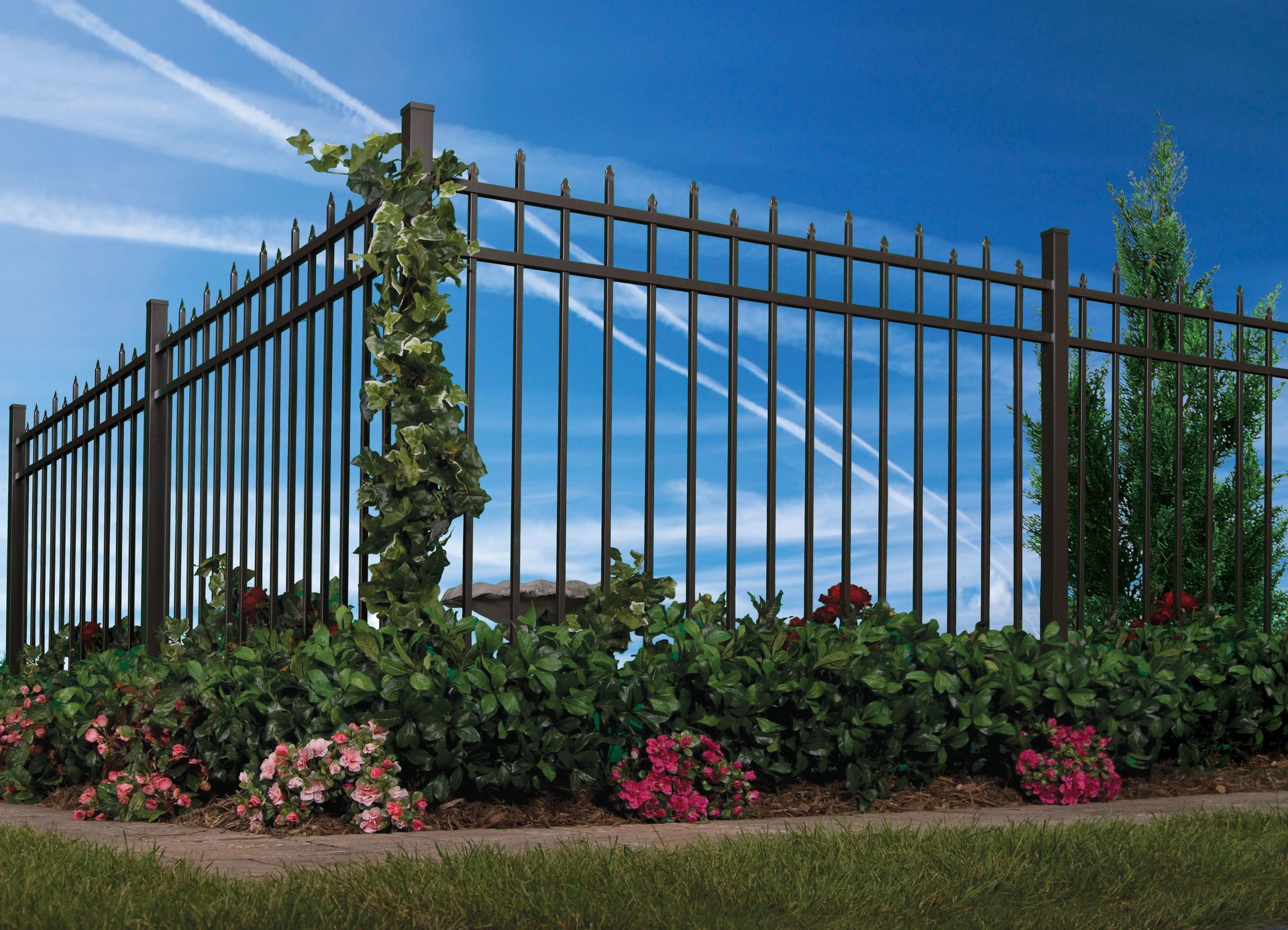 Black metal fence with vines and flowers under a blue sky with wispy clouds