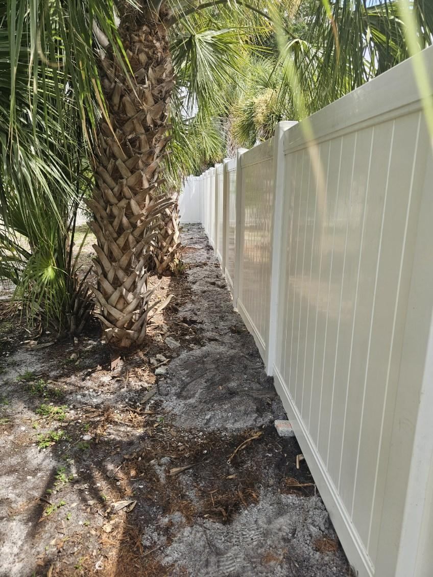 Narrow dirt path beside a palm tree and white vinyl fence in a sunny yard