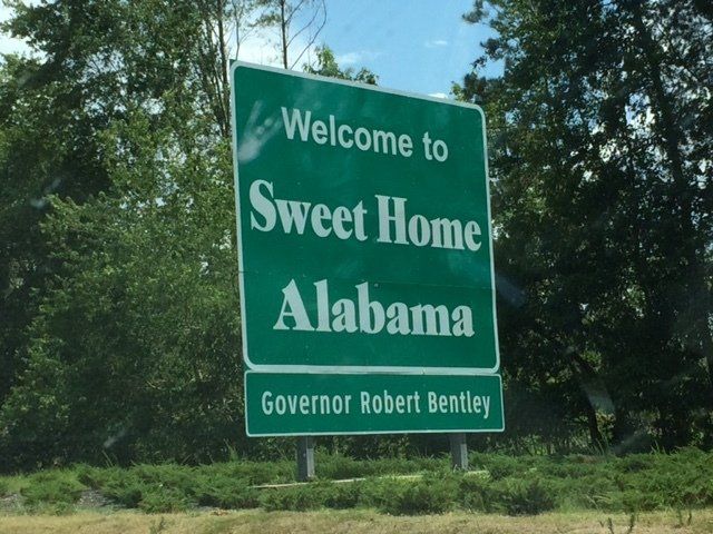 Gizmo's Sportscards photo