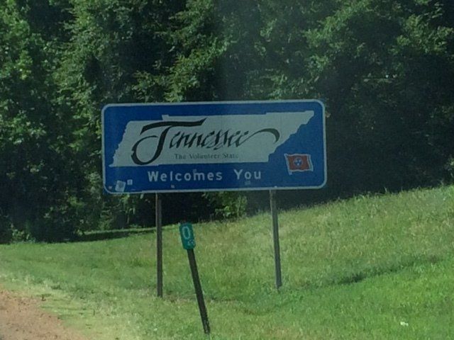 Gizmo's Sportscards photo