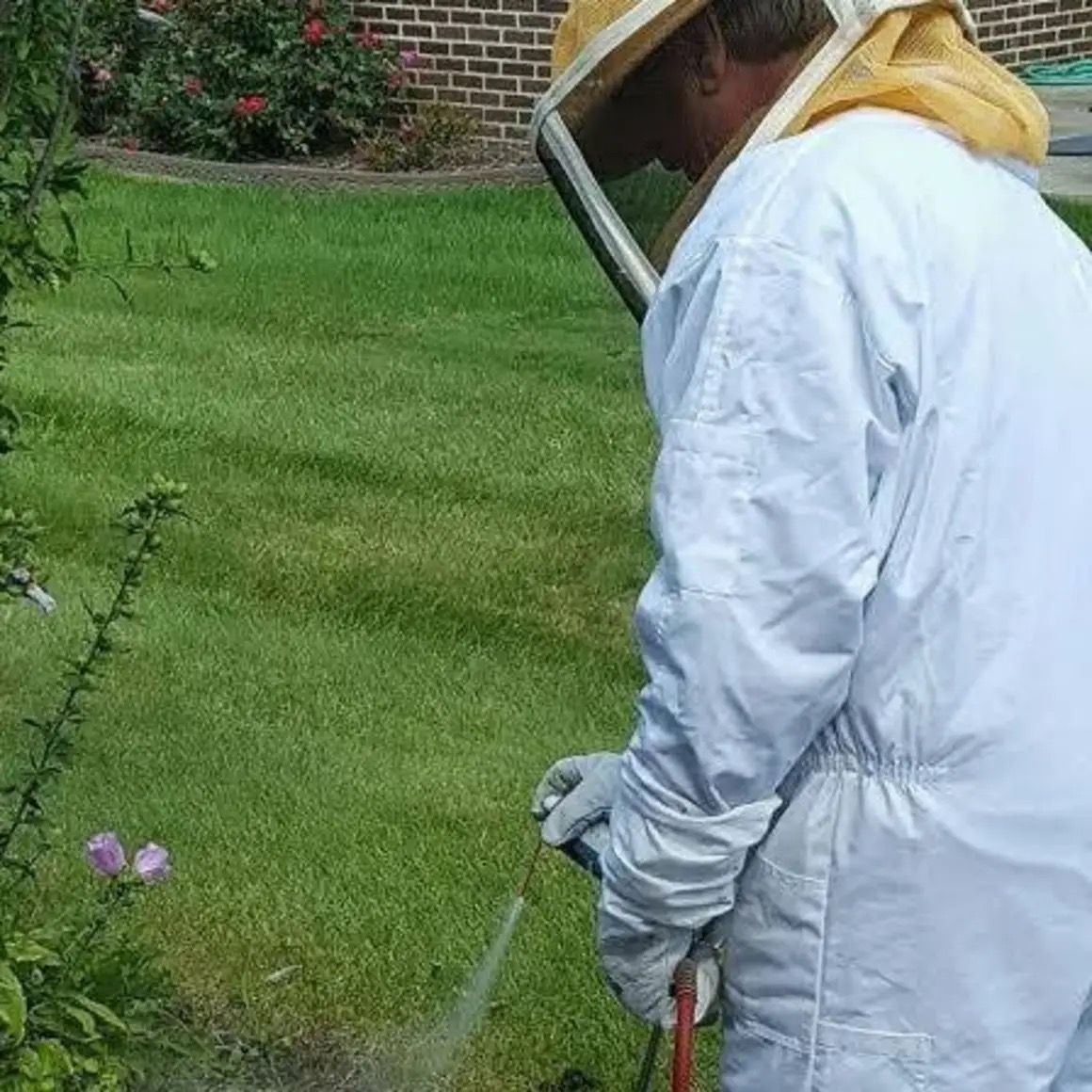 A person wearing a white beekeeping suit and veil waters a flowerbed in a grassy yard.