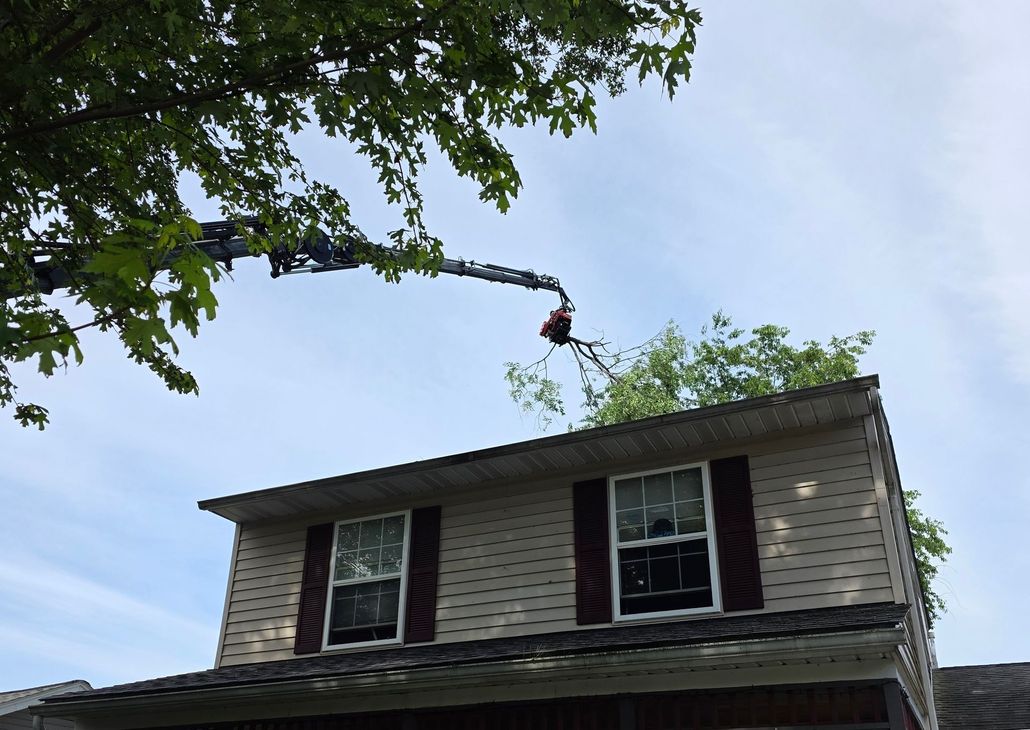Tree trimmer cutting branches above a two-story house roof under a blue sky