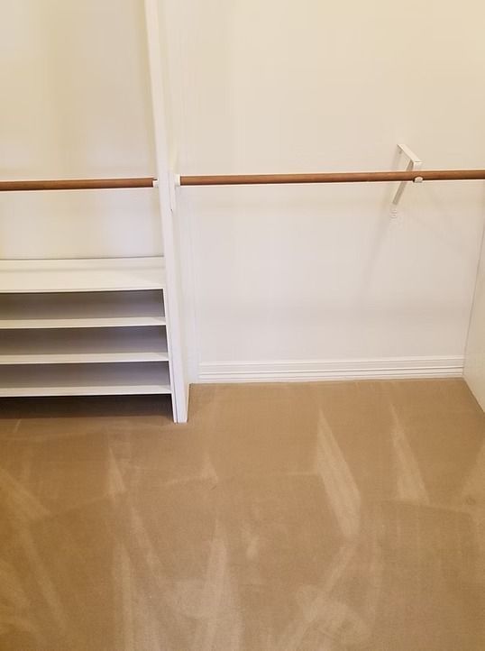 Empty walk-in closet with tan carpet, a hanging rod, and shelves.