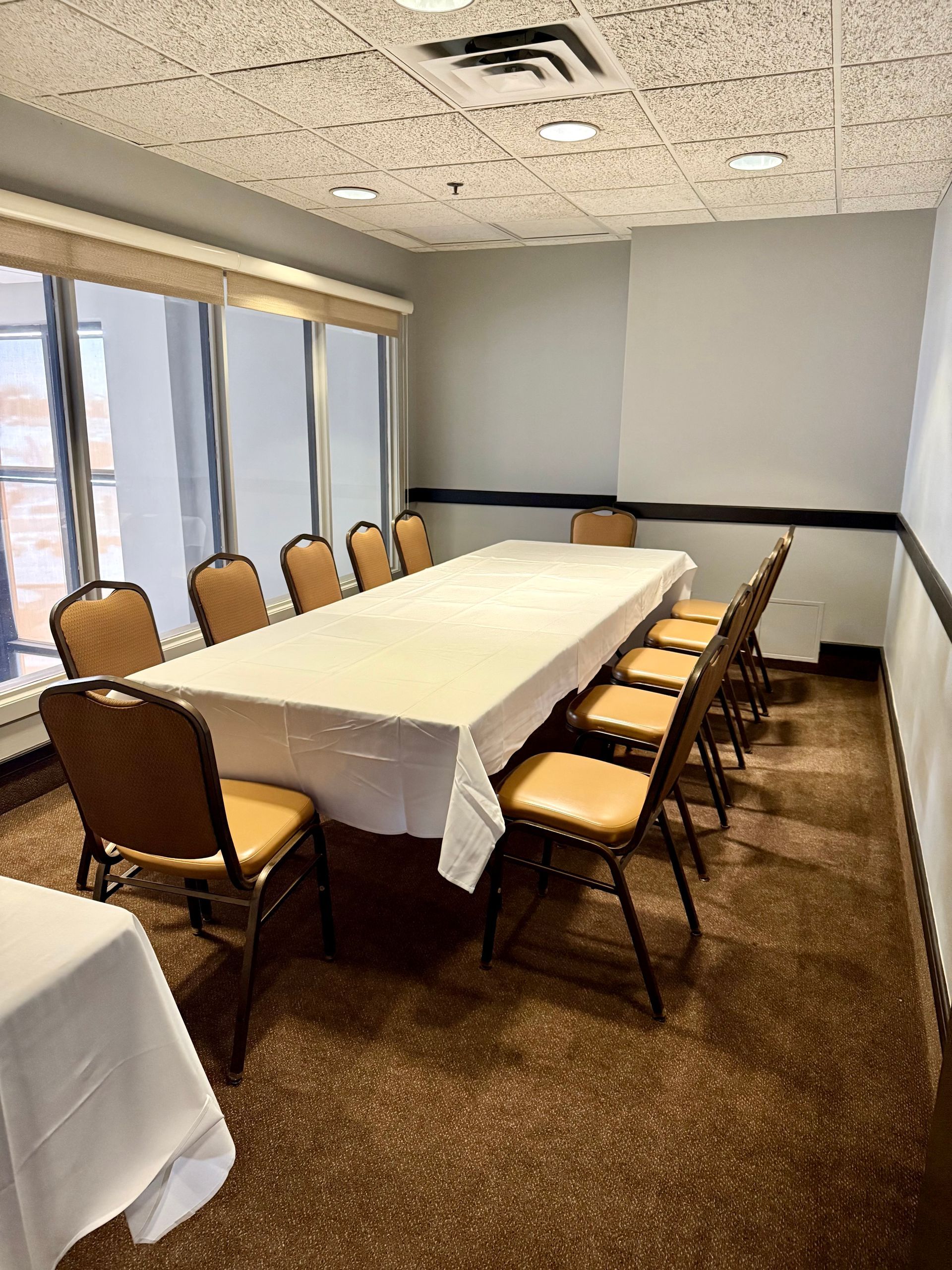 A long table with twelve chairs set in a room with windows and a brown carpet.