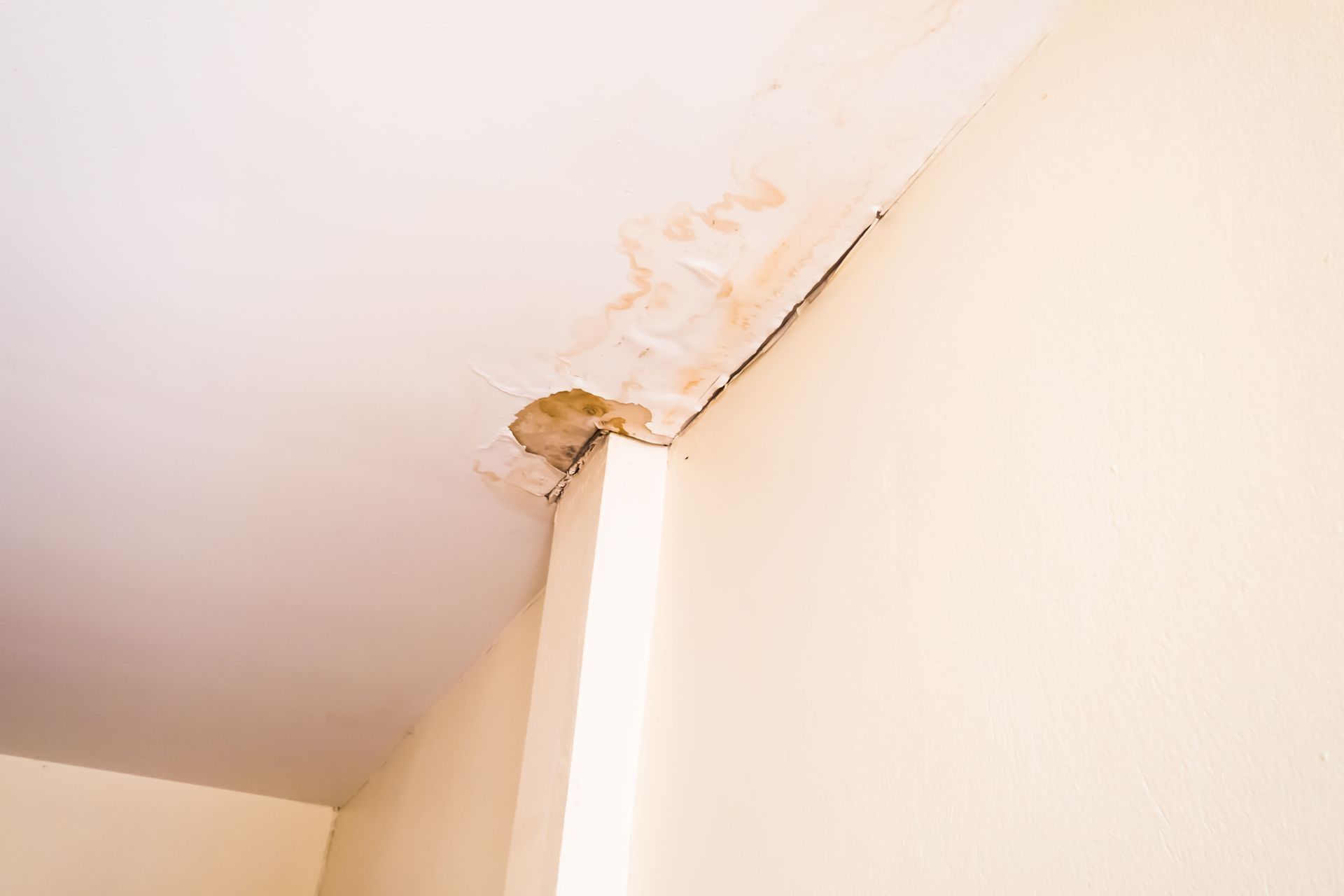 Water-damaged ceiling corner with peeling paint and a small hole near the wall