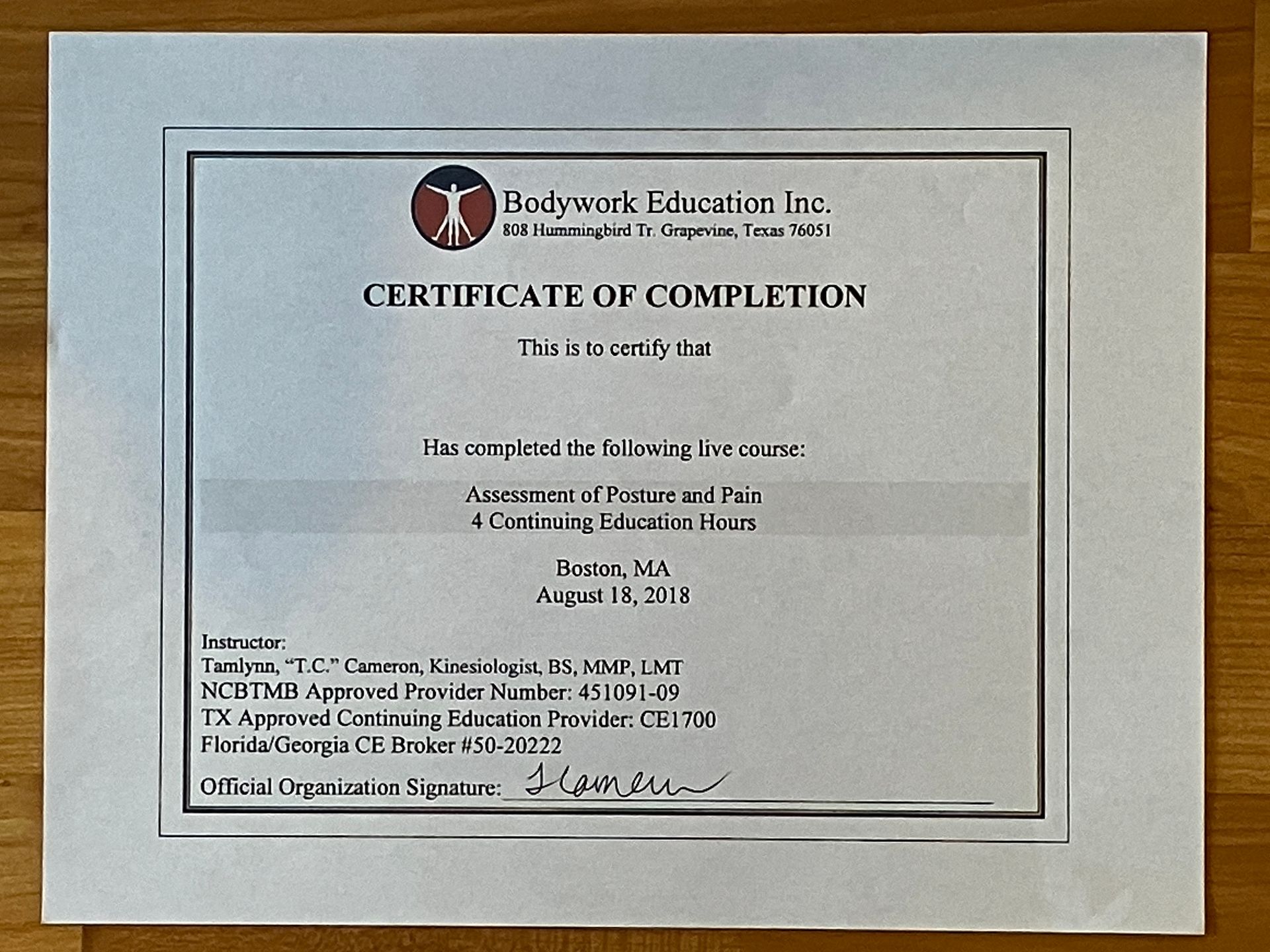 Framed certificate of completion from a company, centered on a gray wall.