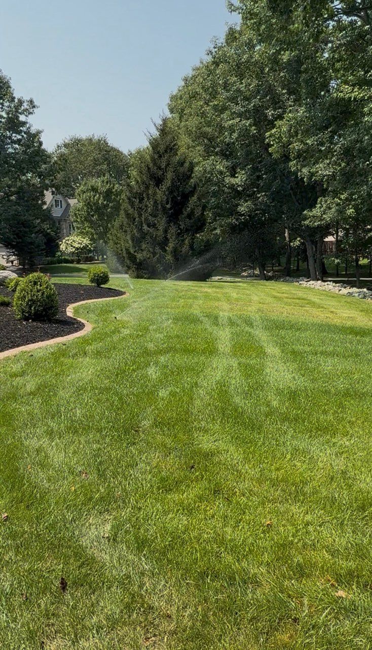 Well-manicured green lawn with landscaped shrubs and tall trees on a sunny day