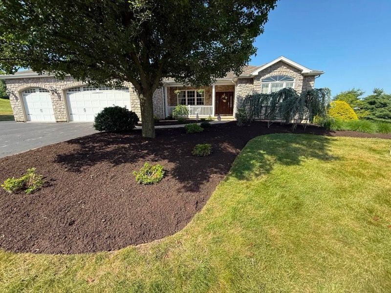 Single-story house with large front tree, fresh mulch beds, and a green lawn in bright sunlight