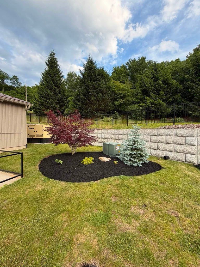 Backyard landscaping bed with purple and blue shrubs, black mulch, grass, and a stone retaining wall