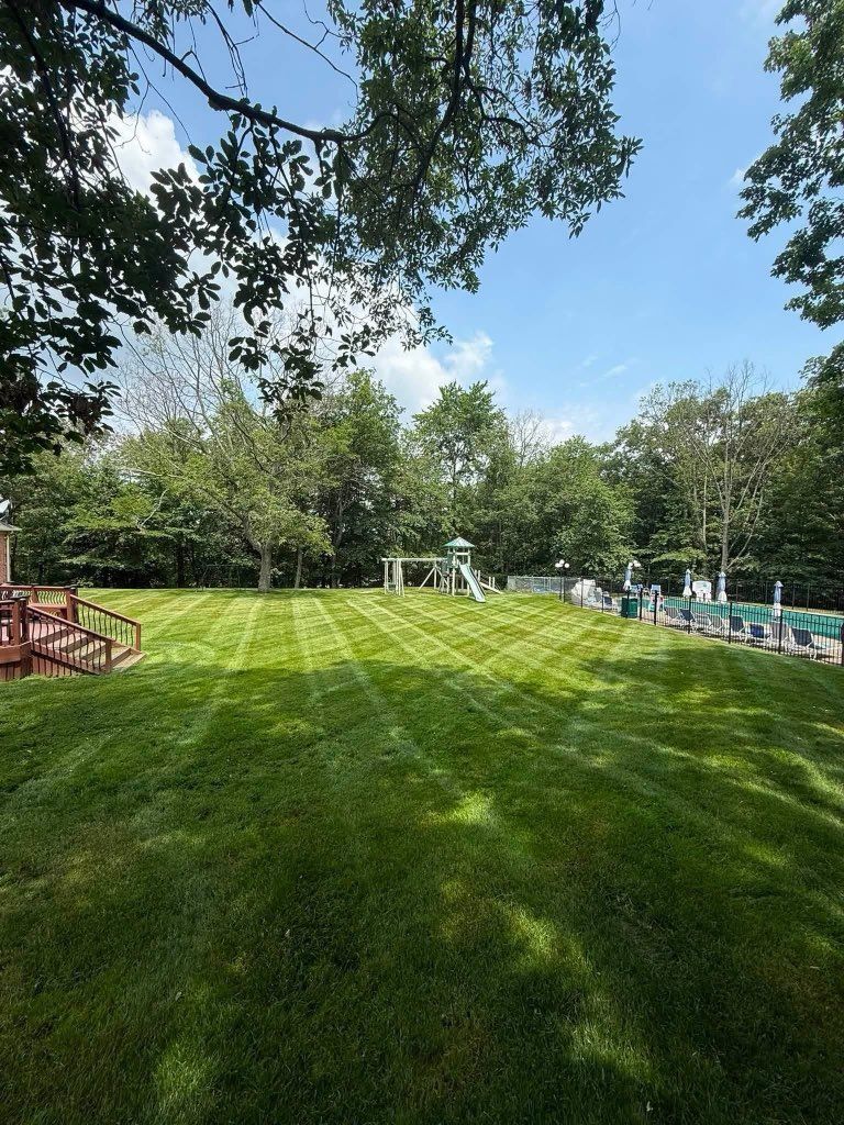 Sunlit grassy backyard with trees, a deck chair, and a small pool under a blue sky