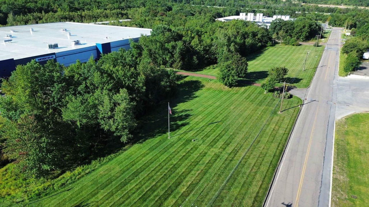 Aerial view of a green lawn beside a tree line, road, and blue-roofed building.