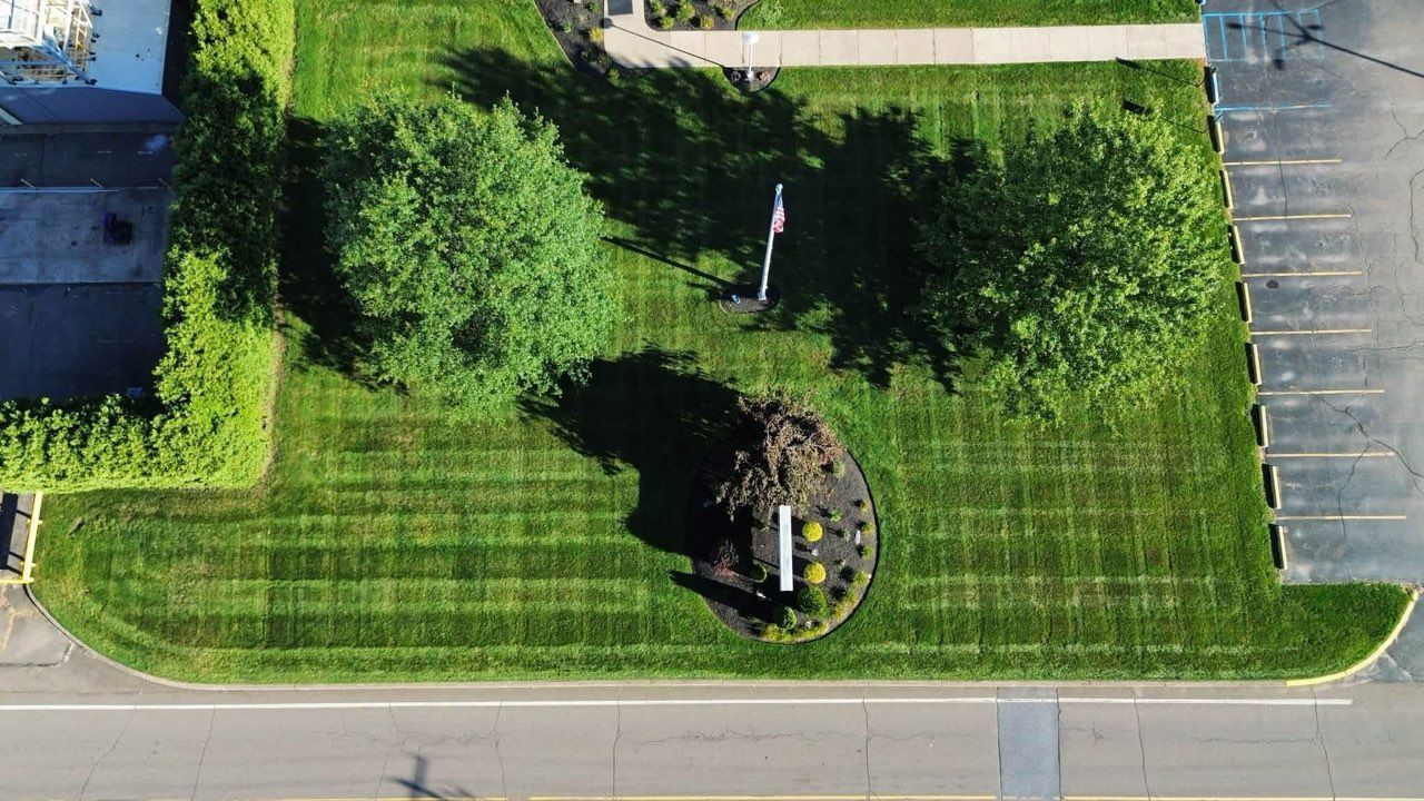 Aerial view of a grassy yard with a large tree, driveway, and parked vehicle beside a road.