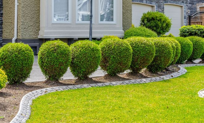 Steve's Lawn Care & Landscaping