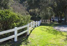 Garden Fence