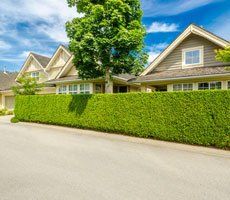 Well-trimmed bushes in front of a home