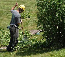 Hauling and clean-up help