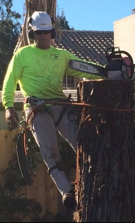 Beautiful lawn and home