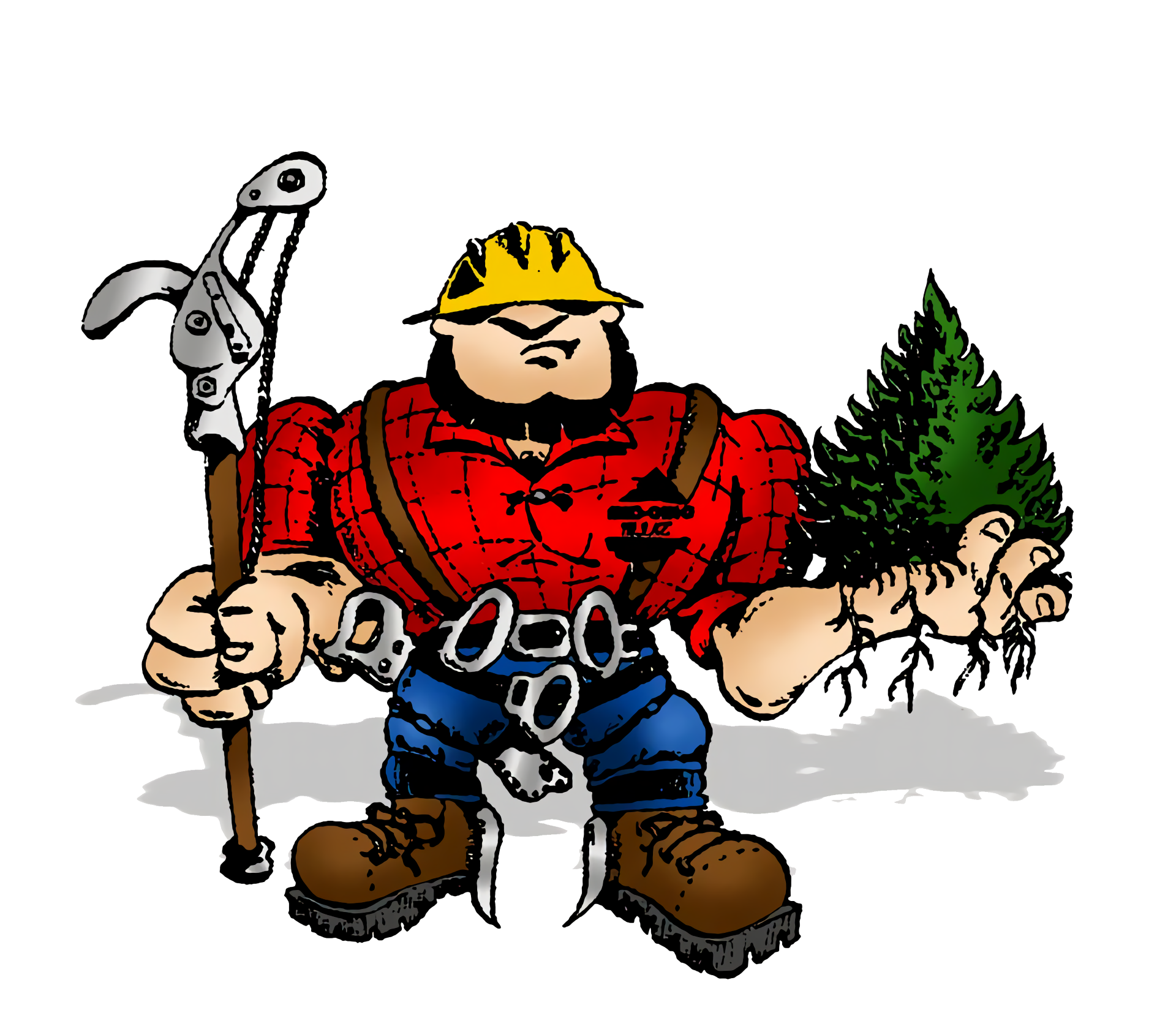 Bob's Tree Service - Tree Removal and Trimming | Santa Maria, CA