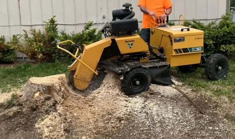 Clearing the land after stump removal