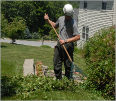 Land clearing services