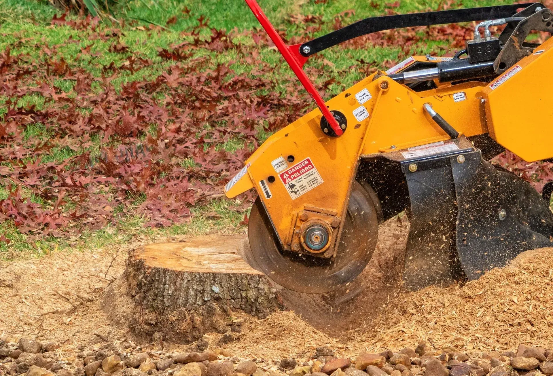 A yellow stump grinder cuts into a tree stump in a yard, scattering wood chips across the grass.