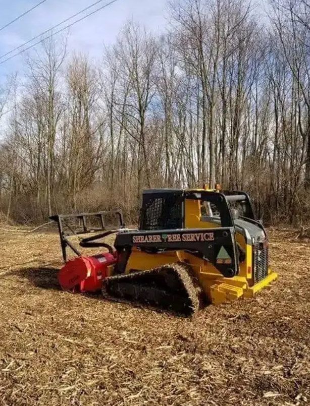 A yellow and black skid steer with a forestry mulcher attachment sits in a cleared field in front of a wooded area.
