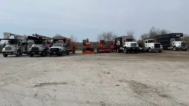A line of various utility and construction trucks, including boom trucks and dump trucks, parked in a gravel lot.