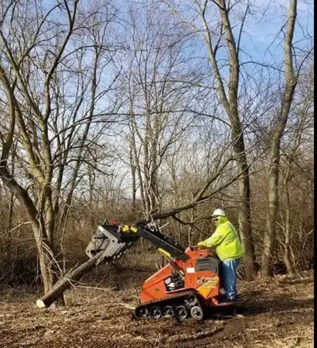 A person in a neon yellow jacket and hard hat operates an orange skid steer to lift a cut tree log in a wooded area.