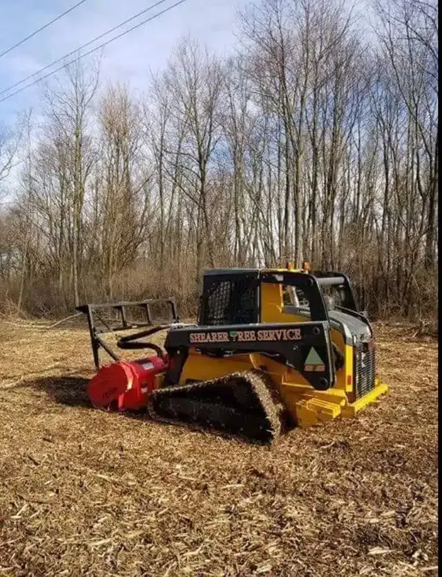 A yellow and black skid steer with a red mulching attachment parked on cleared ground near a forest edge.