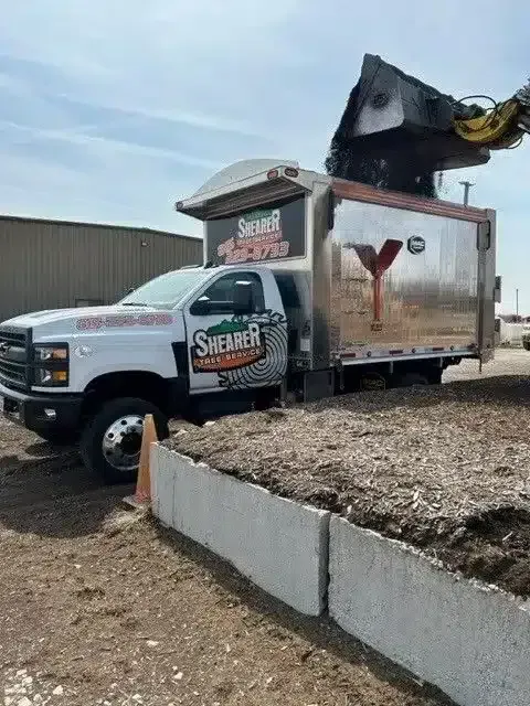 A white Shearer commercial truck being loaded with mulch by heavy machinery at an outdoor site.