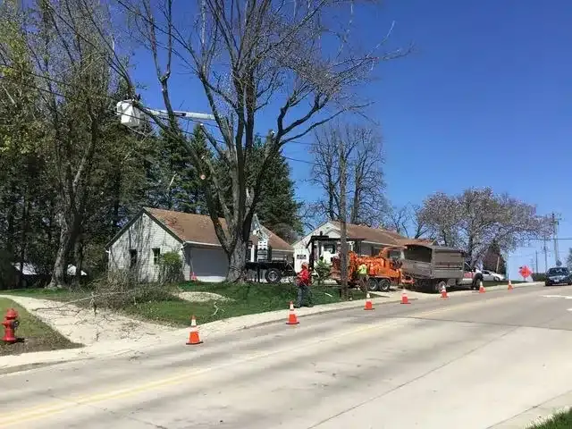 Utility workers use a bucket truck to trim tree branches near a residential home and a street lined with safety cones.