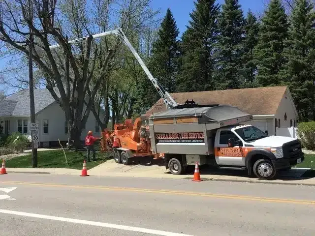 A tree service truck with a raised bucket arm parked on a residential street during a tree trimming operation.