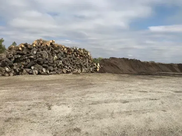 A large pile of logs sits next to a mound of dirt or mulch on an expansive, light-colored gravel lot under a cloudy sky.