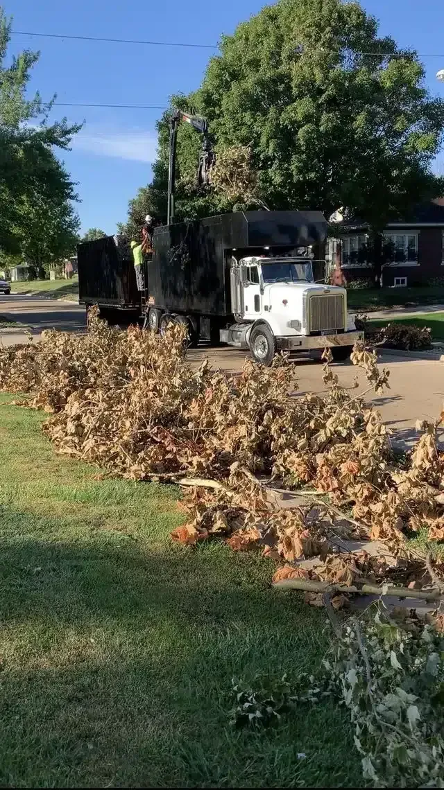A white truck with a mechanical arm lifts branches from a pile on a residential lawn for debris removal.