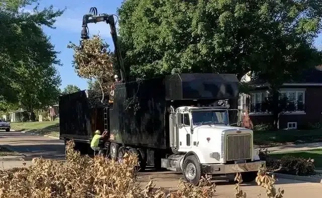 A white truck with a crane attachment lifts a pile of yard waste into a black container on a residential street.