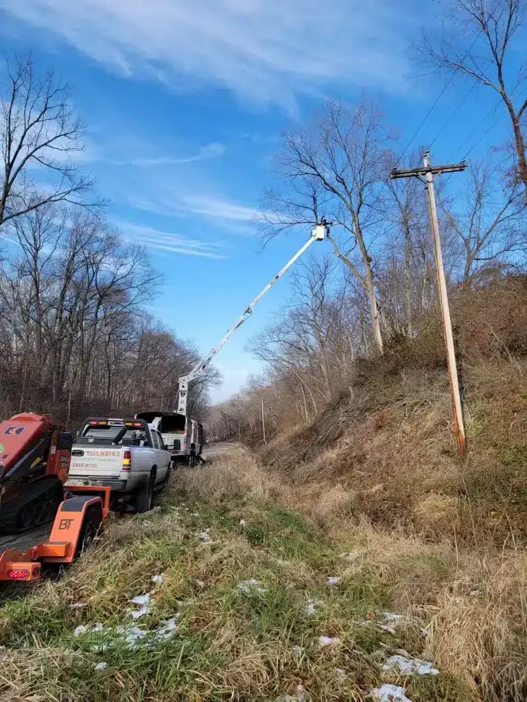 A utility truck with an extended bucket lift performs tree trimming near power lines along a wooded roadside.