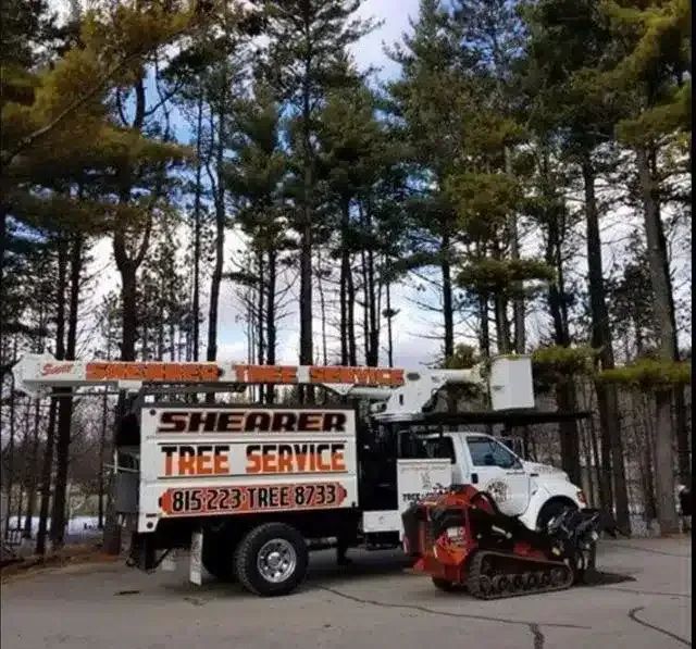 A white Shearer Tree Service bucket truck parked in a wooded area, with a small tracked piece of machinery in front.