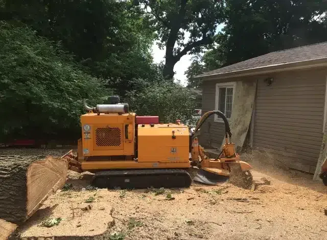 A yellow tracked stump grinder operating in a residential yard near a house, surrounded by wood chips.