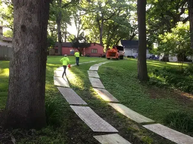 Workers in neon yellow shirts walk along a temporary wooden path on a grassy lawn toward a wood chipper near a house.